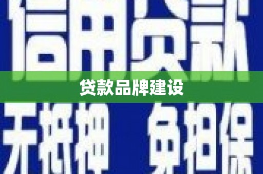 南岸贷款品牌建设