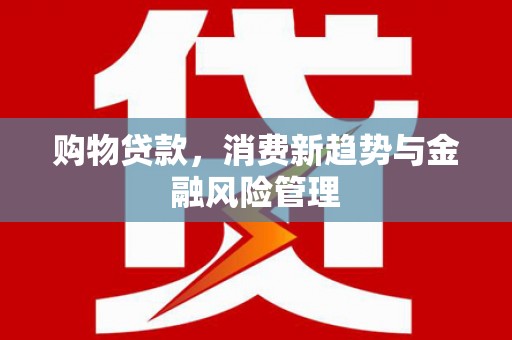 南岸购物贷款，消费新趋势与金融风险管理