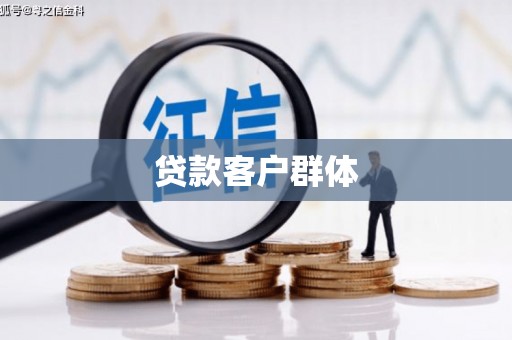 南岸贷款客户群体