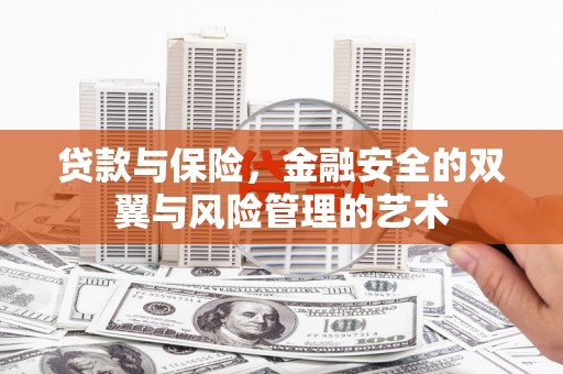 南岸贷款与保险，金融安全的双翼与风险管理的艺术