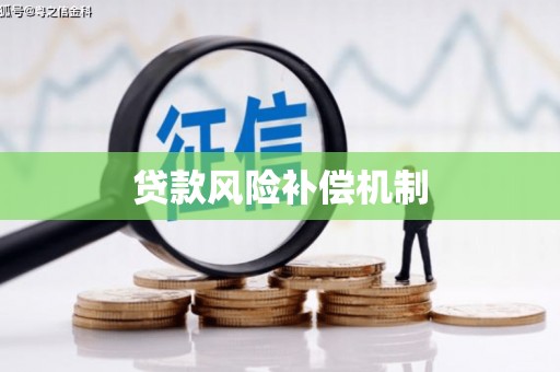 南岸贷款风险补偿机制