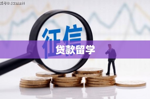 南岸贷款留学