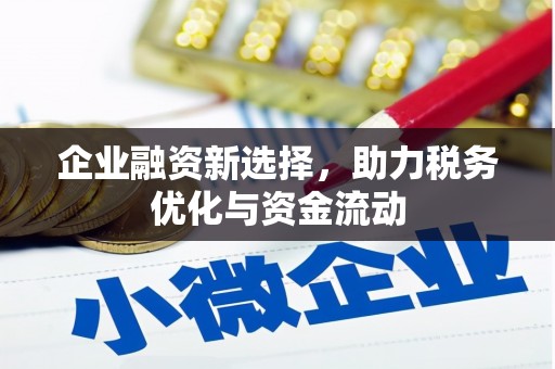 南岸企业融资新选择，助力税务优化与资金流动