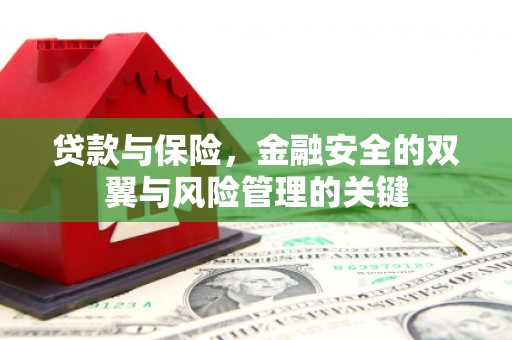 南岸贷款与保险，金融安全的双翼与风险管理的关键