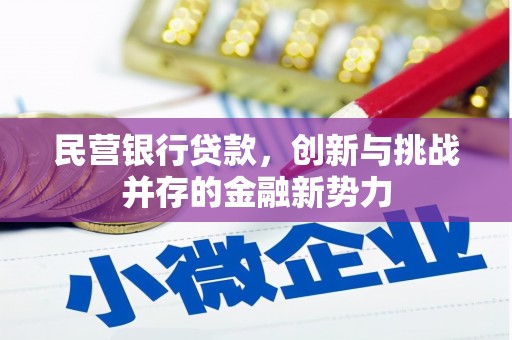 南岸民营银行贷款，创新与挑战并存的金融新势力