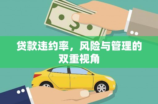 南岸贷款违约率，风险与管理的双重视角