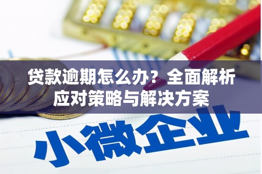 南岸贷款逾期怎么办？全面解析应对策略与解决方案