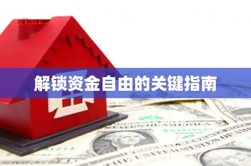 南岸解锁资金自由的关键指南