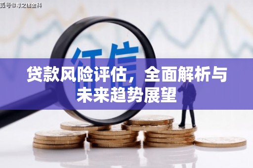 南岸贷款风险评估，全面解析与未来趋势展望