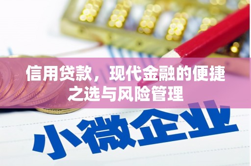 南岸信用贷款，现代金融的便捷之选与风险管理