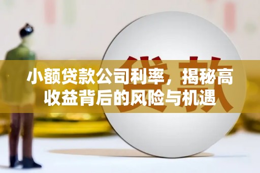 南岸小额贷款公司利率，揭秘高收益背后的风险与机遇