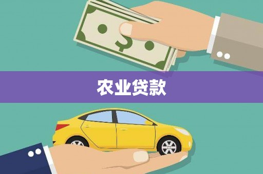 南岸农业贷款