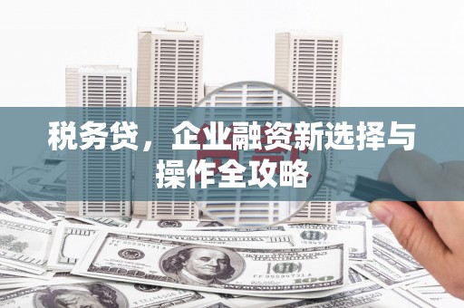 南岸税务贷，企业融资新选择与操作全攻略