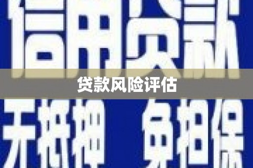 南岸贷款风险评估