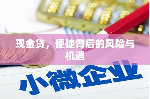 南岸现金贷，便捷背后的风险与机遇