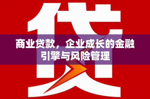 南岸商业贷款，企业成长的金融引擎与风险管理