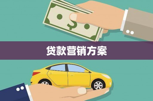 南岸贷款营销方案