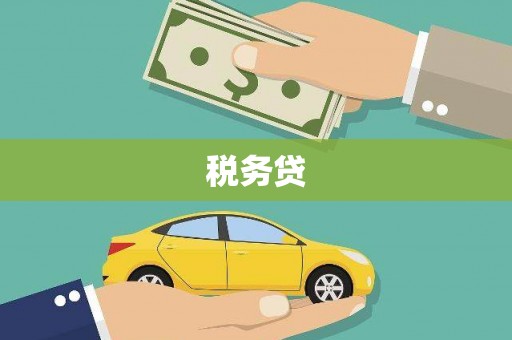 南岸税务贷