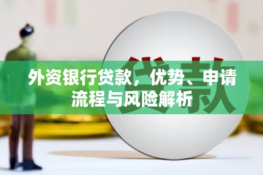 南岸外资银行贷款，优势、申请流程与风险解析