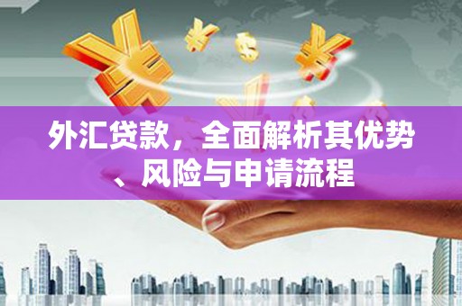 南岸外汇贷款，全面解析其优势、风险与申请流程