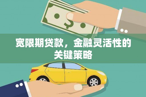 南岸宽限期贷款，金融灵活性的关键策略