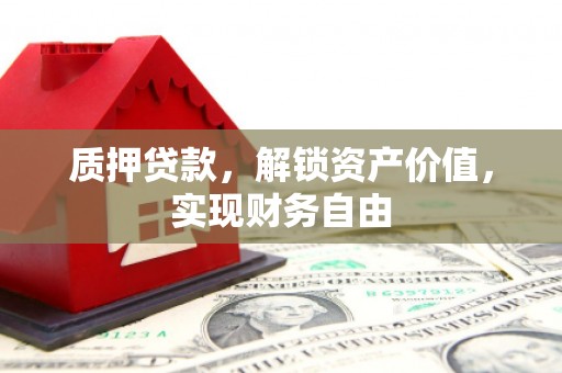 南岸质押贷款，解锁资产价值，实现财务自由