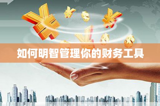 南岸如何明智管理你的财务工具