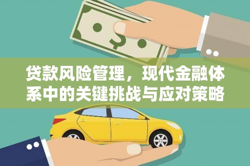 南岸贷款风险管理，现代金融体系中的关键挑战与应对策略