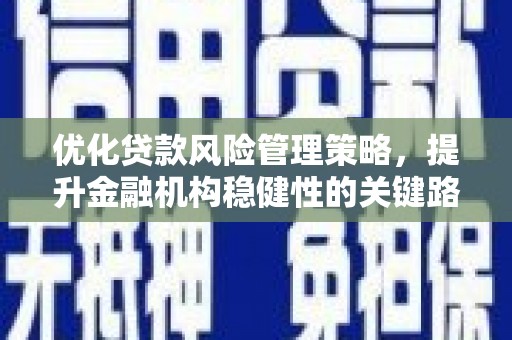 南岸优化贷款风险管理策略，提升金融机构稳健性的关键路径