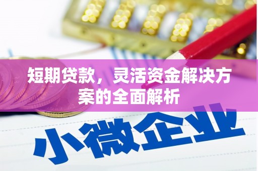 南岸短期贷款，灵活资金解决方案的全面解析