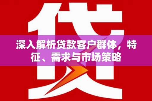 南岸深入解析贷款客户群体，特征、需求与市场策略