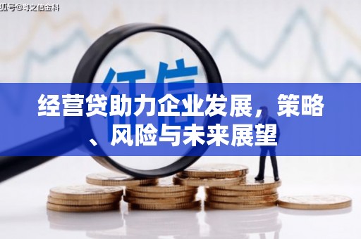 南岸经营贷助力企业发展，策略、风险与未来展望