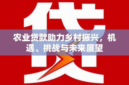 南岸农业贷款助力乡村振兴，机遇、挑战与未来展望