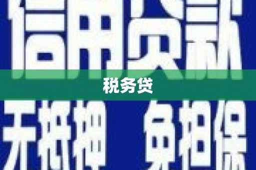 南岸税务贷