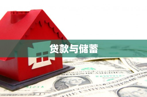 南岸贷款与储蓄