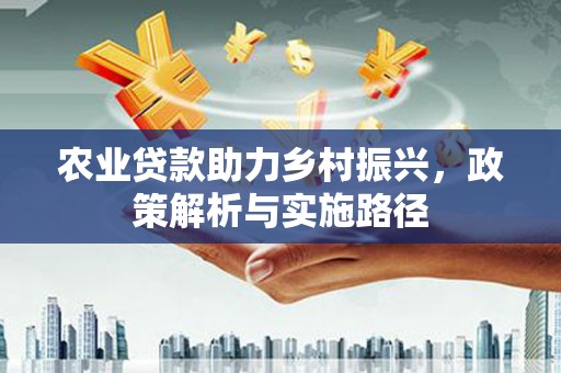 南岸农业贷款助力乡村振兴，政策解析与实施路径