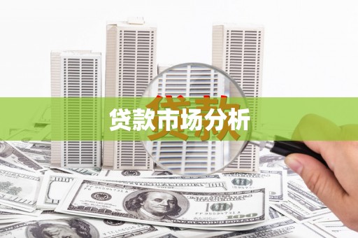 南岸贷款市场分析