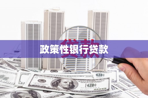 南岸政策性银行贷款