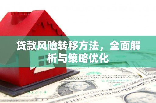南岸贷款风险转移方法，全面解析与策略优化