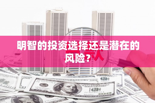 南岸明智的投资选择还是潜在的风险？