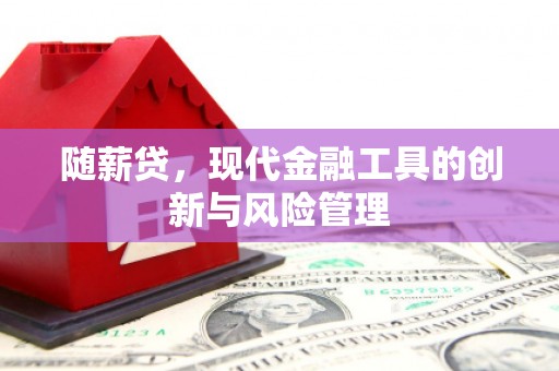 南岸随薪贷，现代金融工具的创新与风险管理