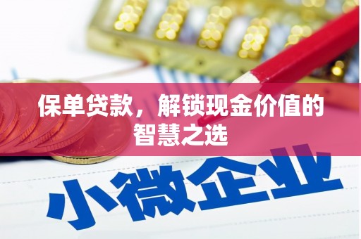 南岸保单贷款，解锁现金价值的智慧之选