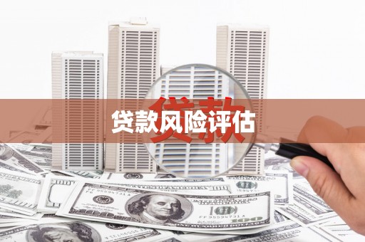 南岸贷款风险评估