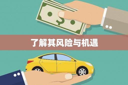 南岸了解其风险与机遇