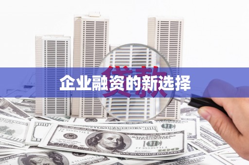 南岸企业融资的新选择