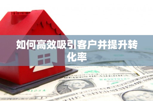 南岸如何高效吸引客户并提升转化率
