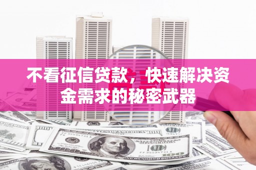 南岸不看征信贷款，快速解决资金需求的秘密武器