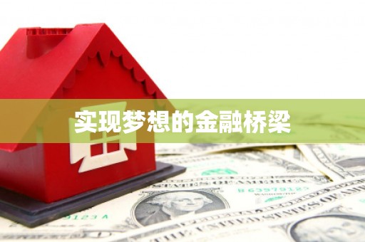 南岸实现梦想的金融桥梁