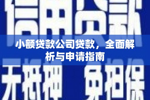 南岸小额贷款公司贷款，全面解析与申请指南