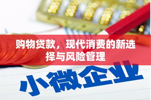 南岸购物贷款，现代消费的新选择与风险管理